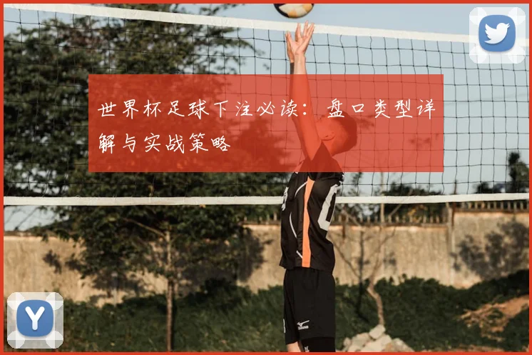 世界杯足球下注必读：盘口类型详解与实战策略
