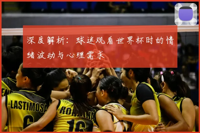 深度解析：球迷观看世界杯时的情绪波动与心理需求