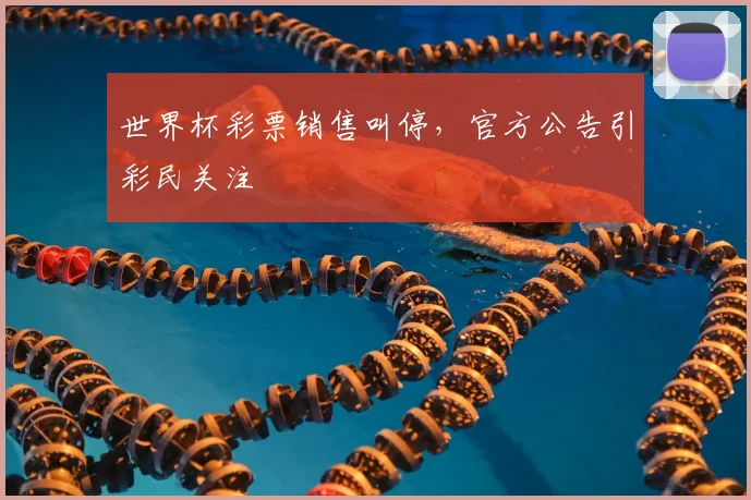 世界杯彩票销售叫停,官方公告引彩民关注