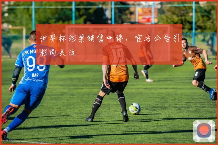 世界杯彩票销售叫停,官方公告引彩民关注