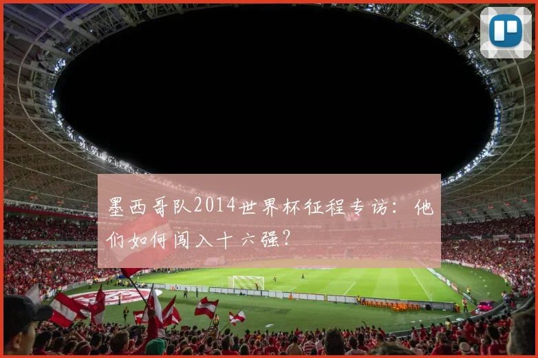 墨西哥队2014世界杯征程专访:他们如何闯入十六强?