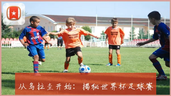 从乌拉圭开始:揭秘世界杯足球赛的起源故事
