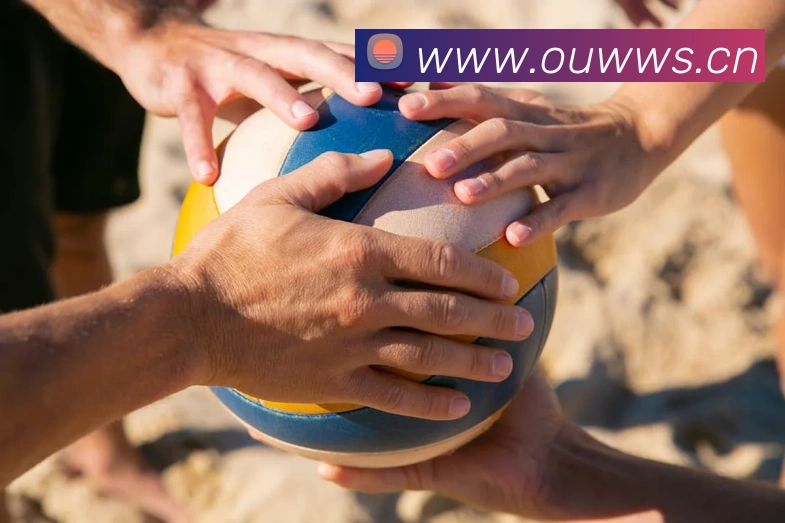 App Interface Preview