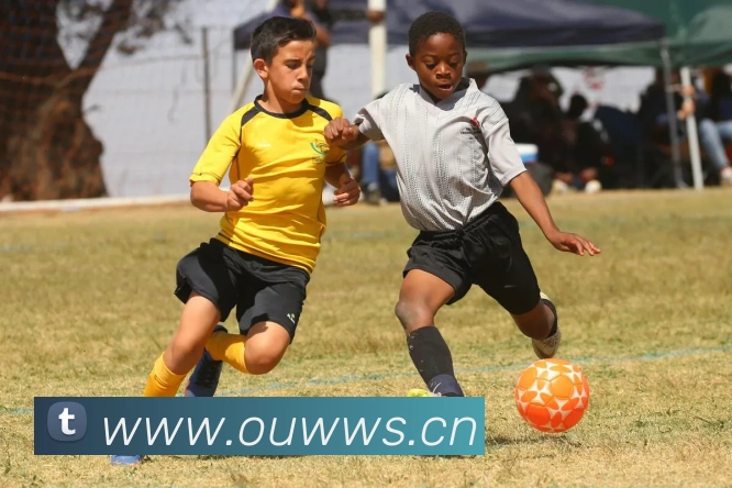 米兰app中国区官网APP 封面图